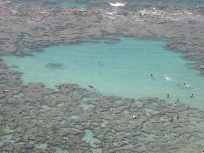 Folks snorkeling