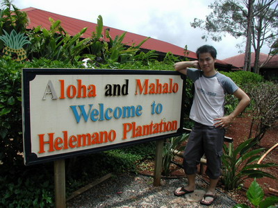 Helemano Plantation